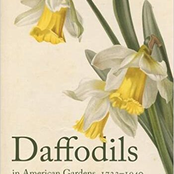 Daffodils in American Gardens